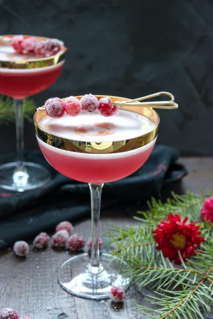 The Cranberry Pisco Sour