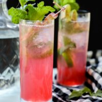 sugar free rhubarb mojito