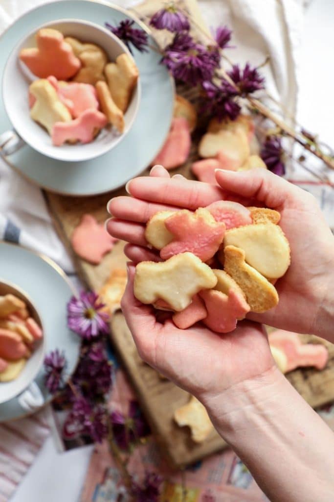 Keto Frosted Animal Cookies