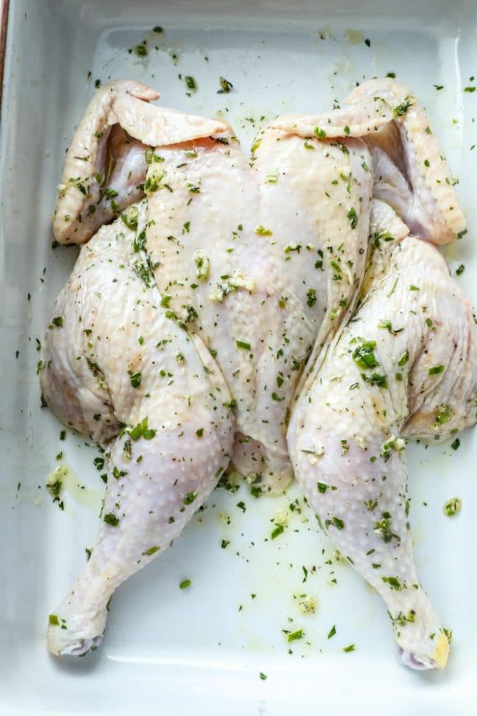 Whole spatchcock chicken, seasoned and laying in a white pan for baking.