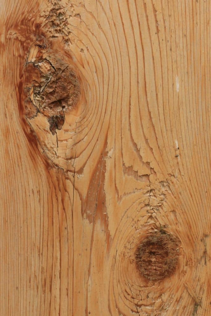 Cedar Plank