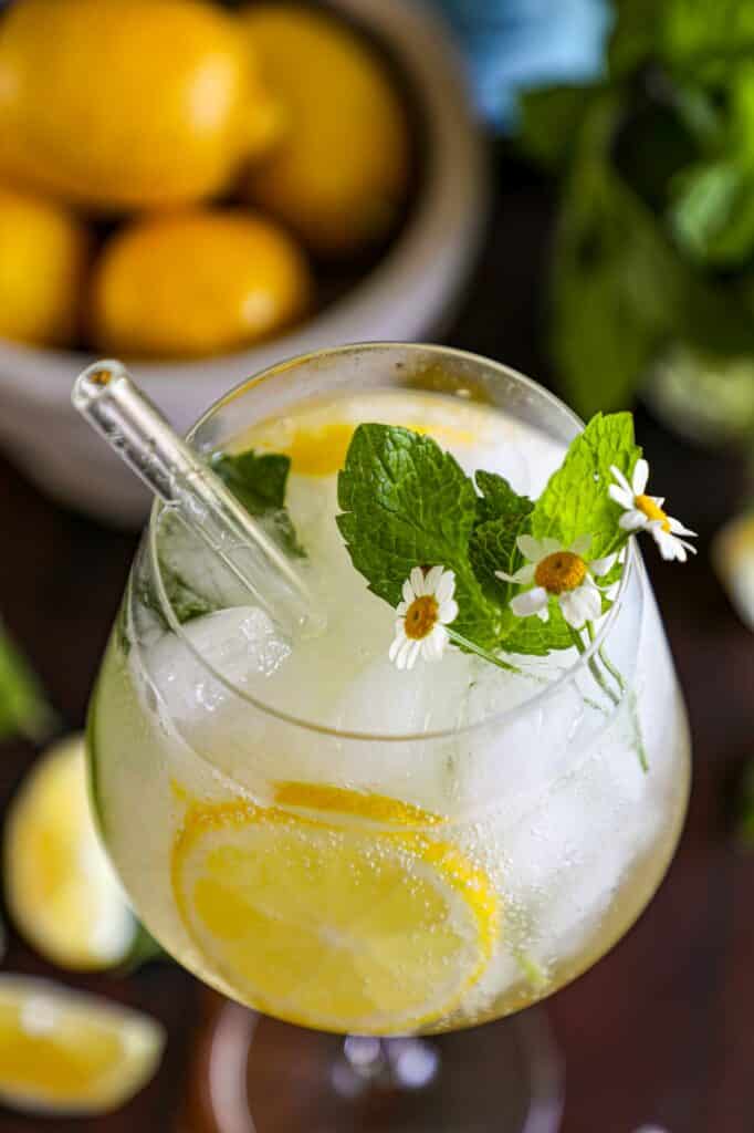 Hugo Spritz Recipe