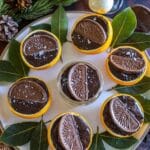 Orange Posset Recipe